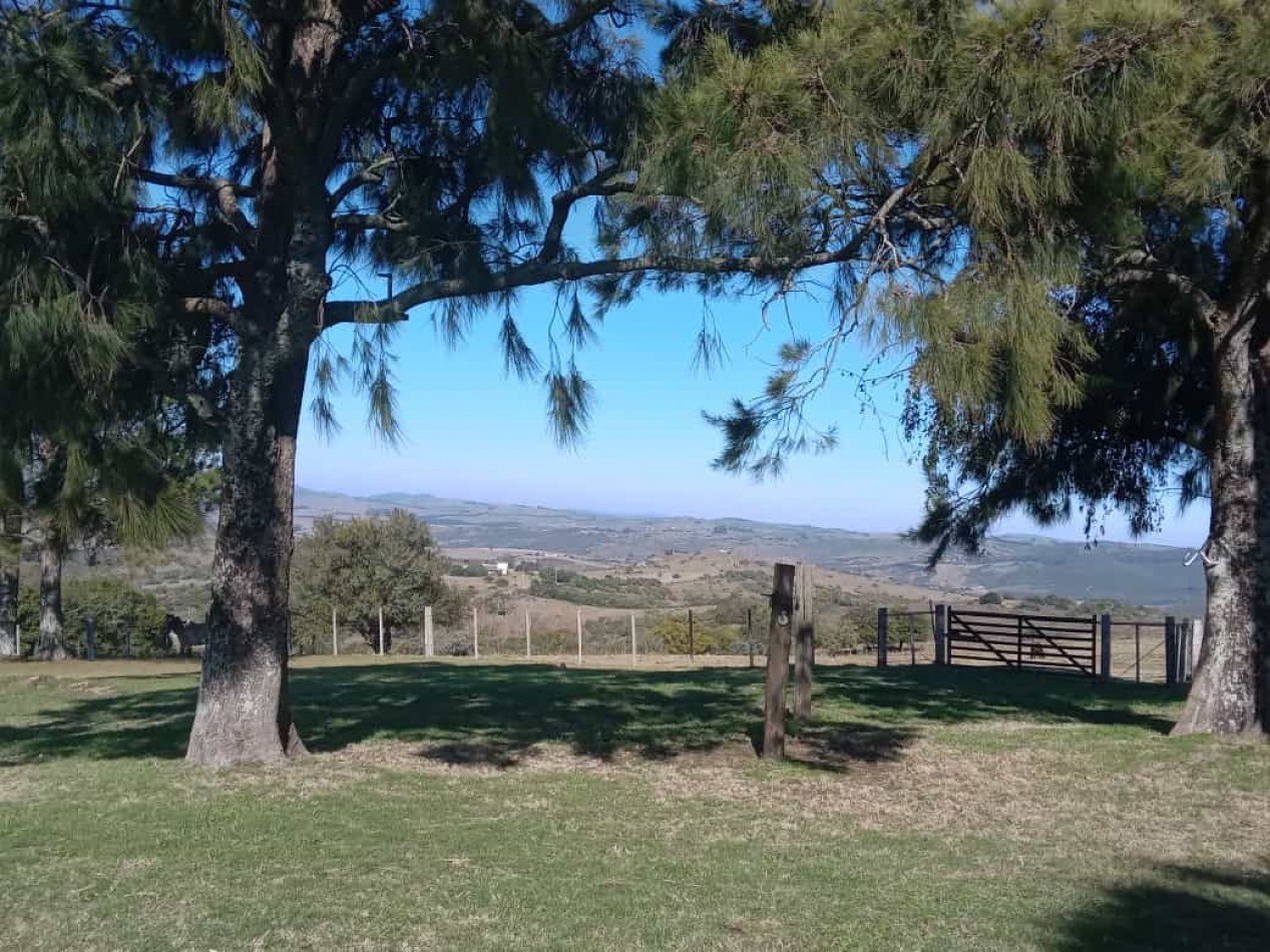 Propriete rurale dans la Sierra de Carape. 267 hectares. Maison de 8 chambres.