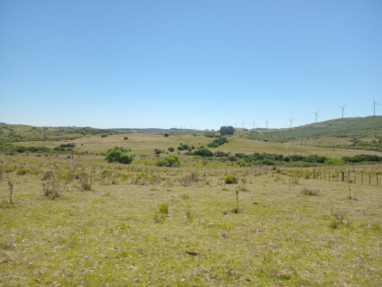 Propriete rurale 740 hectares Sierra de Carape