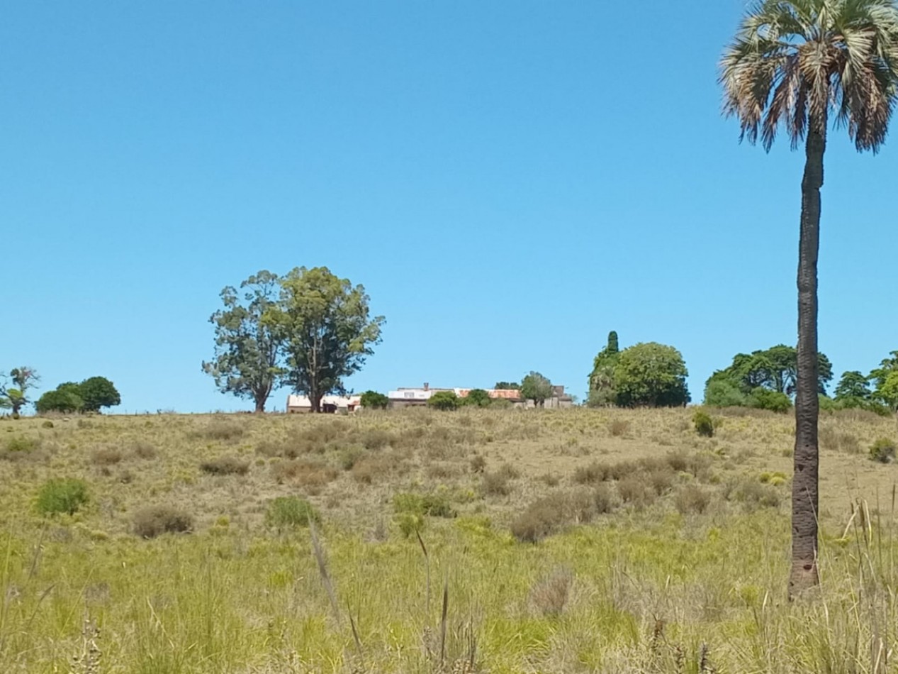 Propriete rurale 740 hectares Sierra de Carape