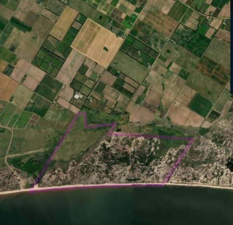 Propriete de 197 hectares avec 2500 metres de front de mer sur le Rio de la Plata, a 40 km de Montevideo