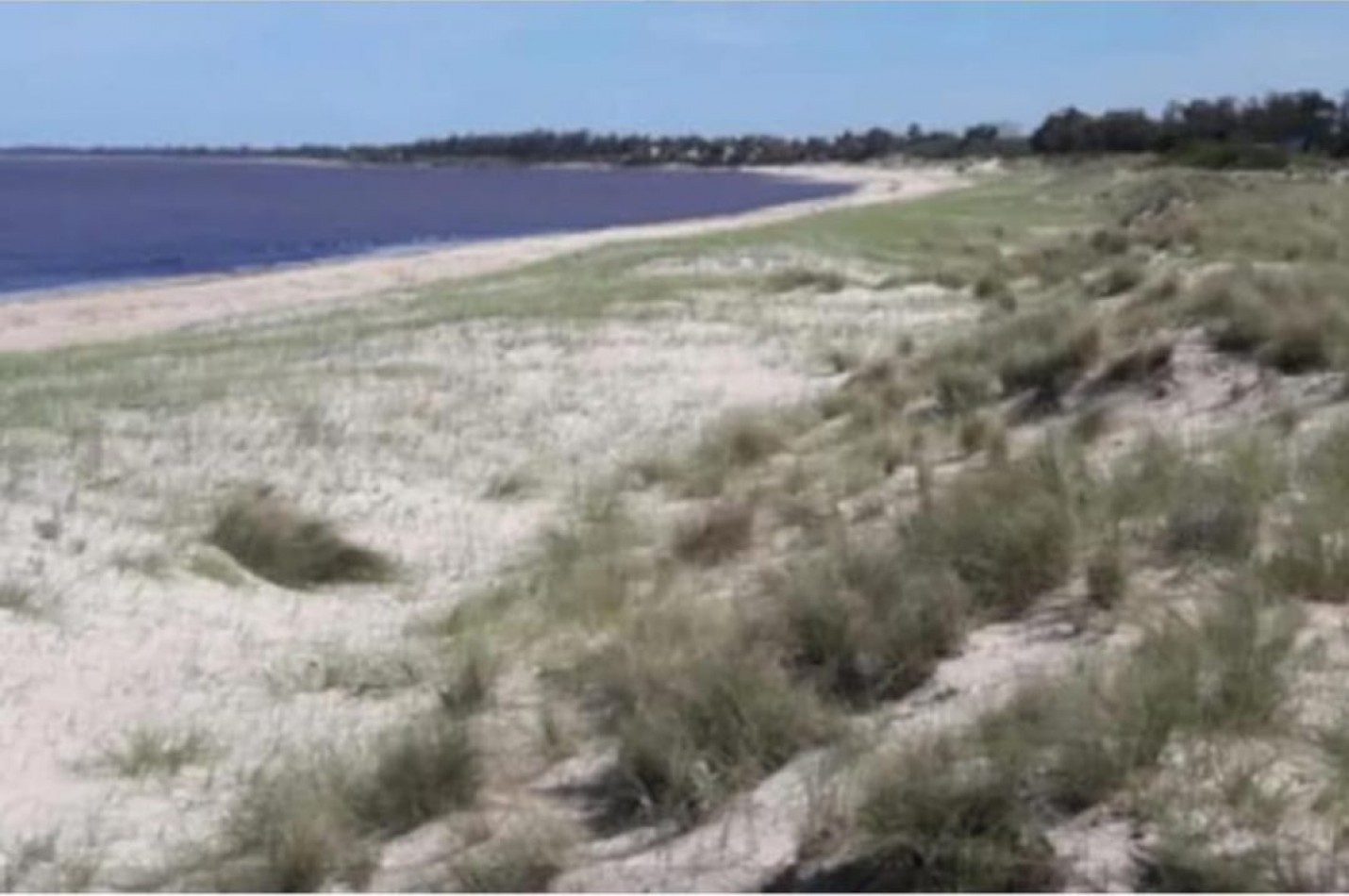 Propriete de 197 hectares avec 2500 metres de front de mer sur le Rio de la Plata, a 40 km de Montevideo