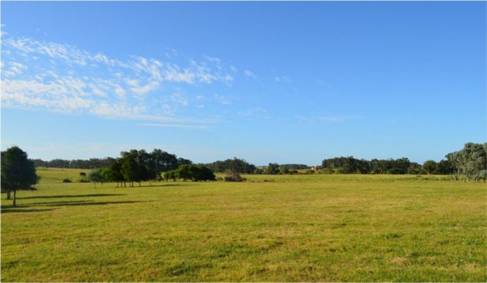 Ferme de 5 hectares sur la route de Medellin, pres du Polo Jose Ignacio