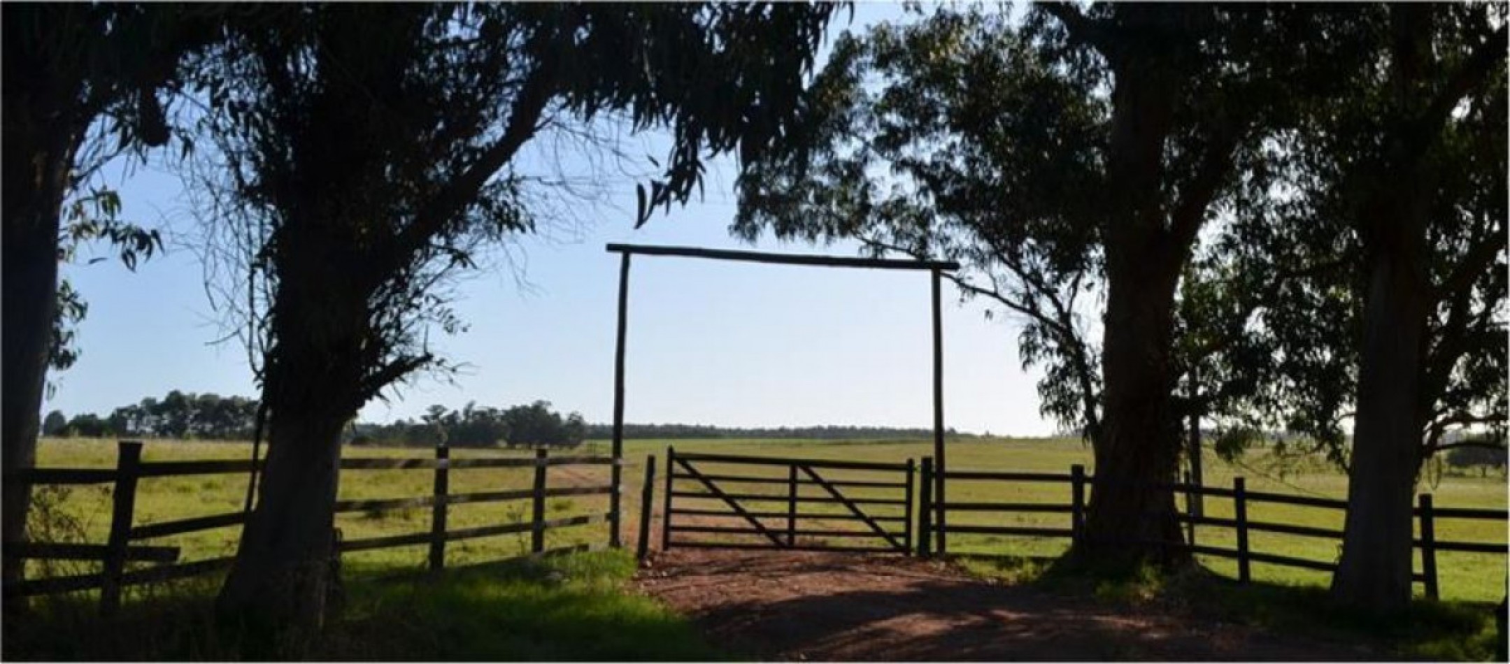 Ferme de 5 hectares sur la route de Medellin, pres du Polo Jose Ignacio