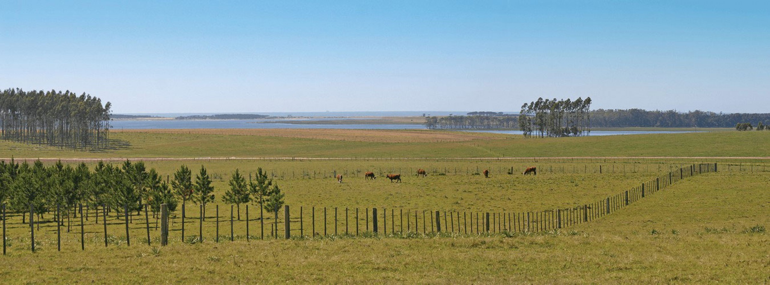 Altos de Jose Ignacio. Fermes maritimes