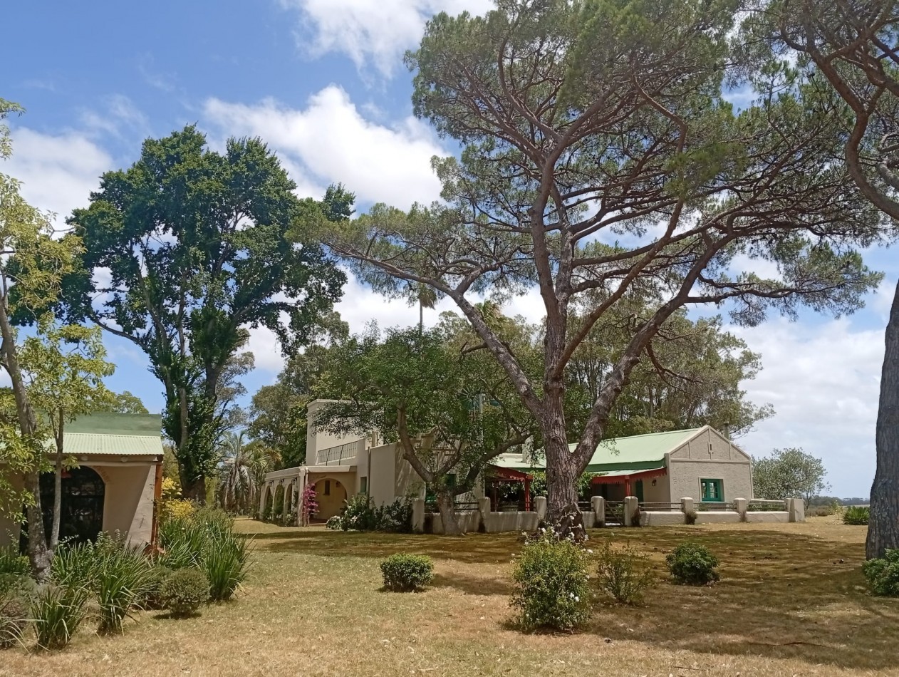 Propriete exclusive de 74 hectares avec 6 chambres dans la zone la plus recherche de Jose Ignacio
