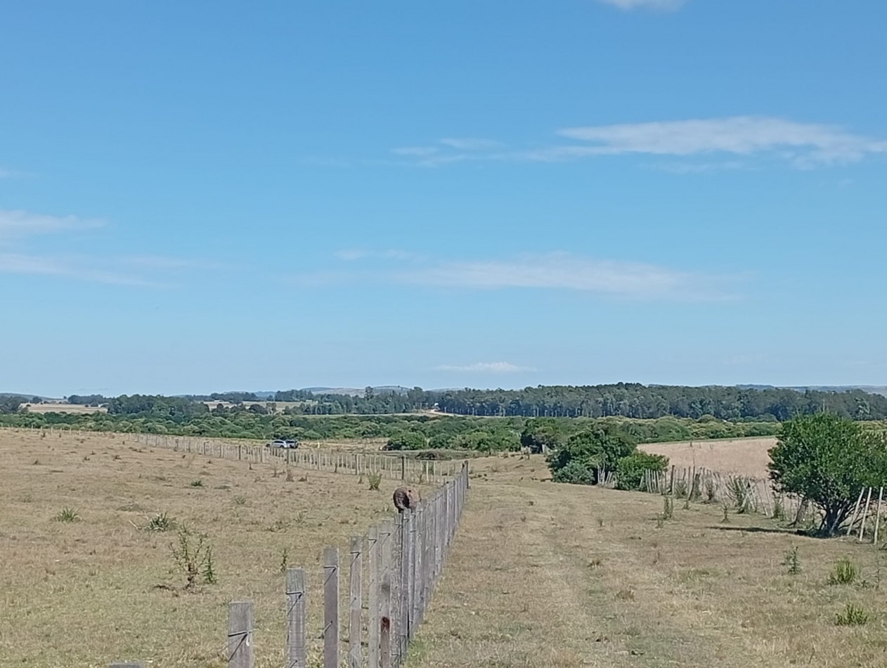 18 hectares a 15 minutes de la plage de Manantiales