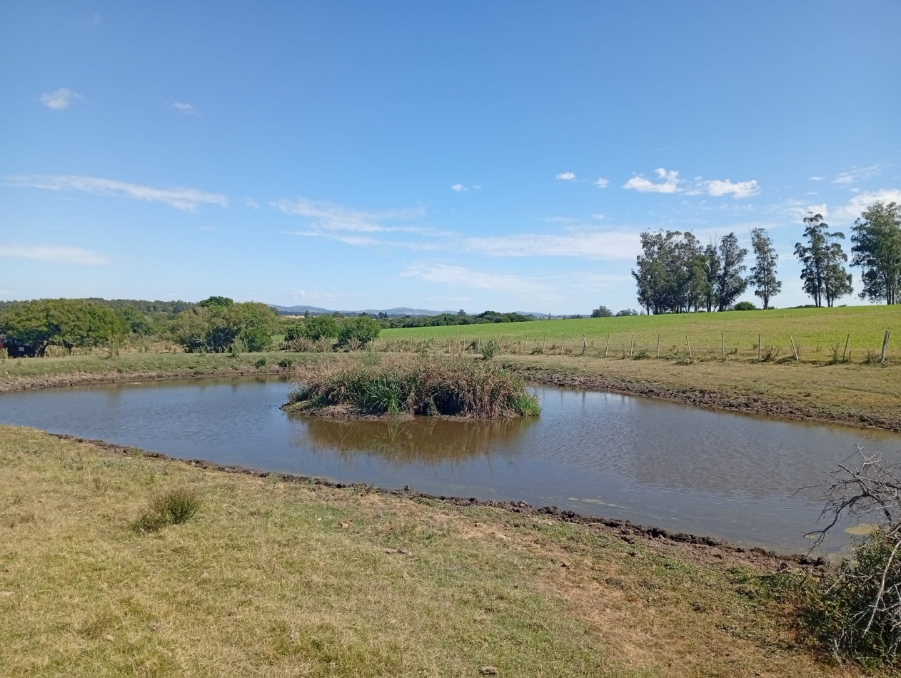 18 hectares a 15 minutes de la plage de Manantiales