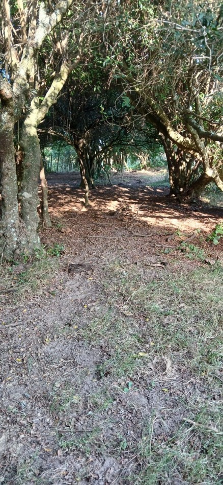 18 hectares a 15 minutes de la plage de Manantiales