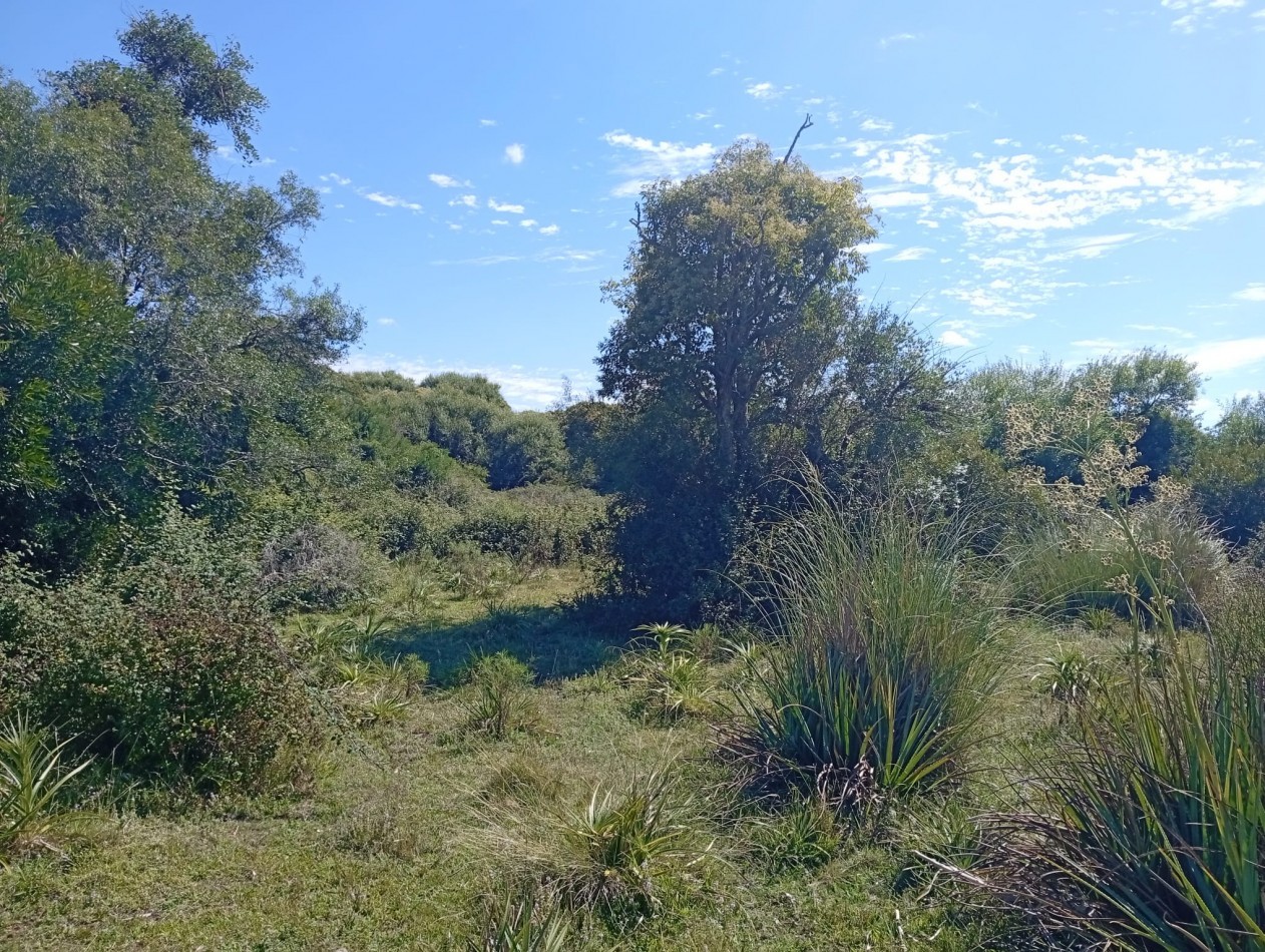18 hectares a 15 minutes de la plage de Manantiales