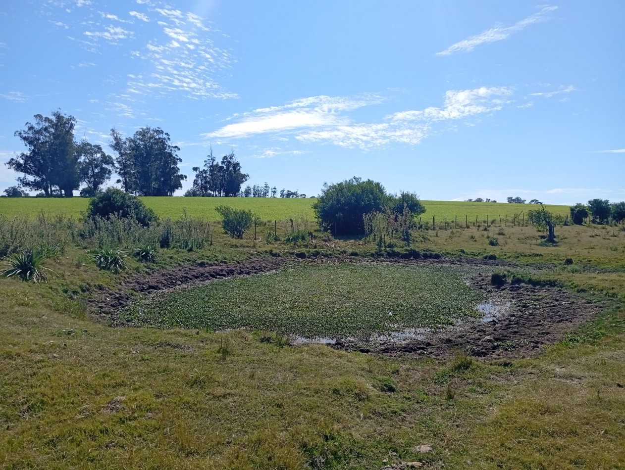18 hectares a 15 minutes de la plage de Manantiales