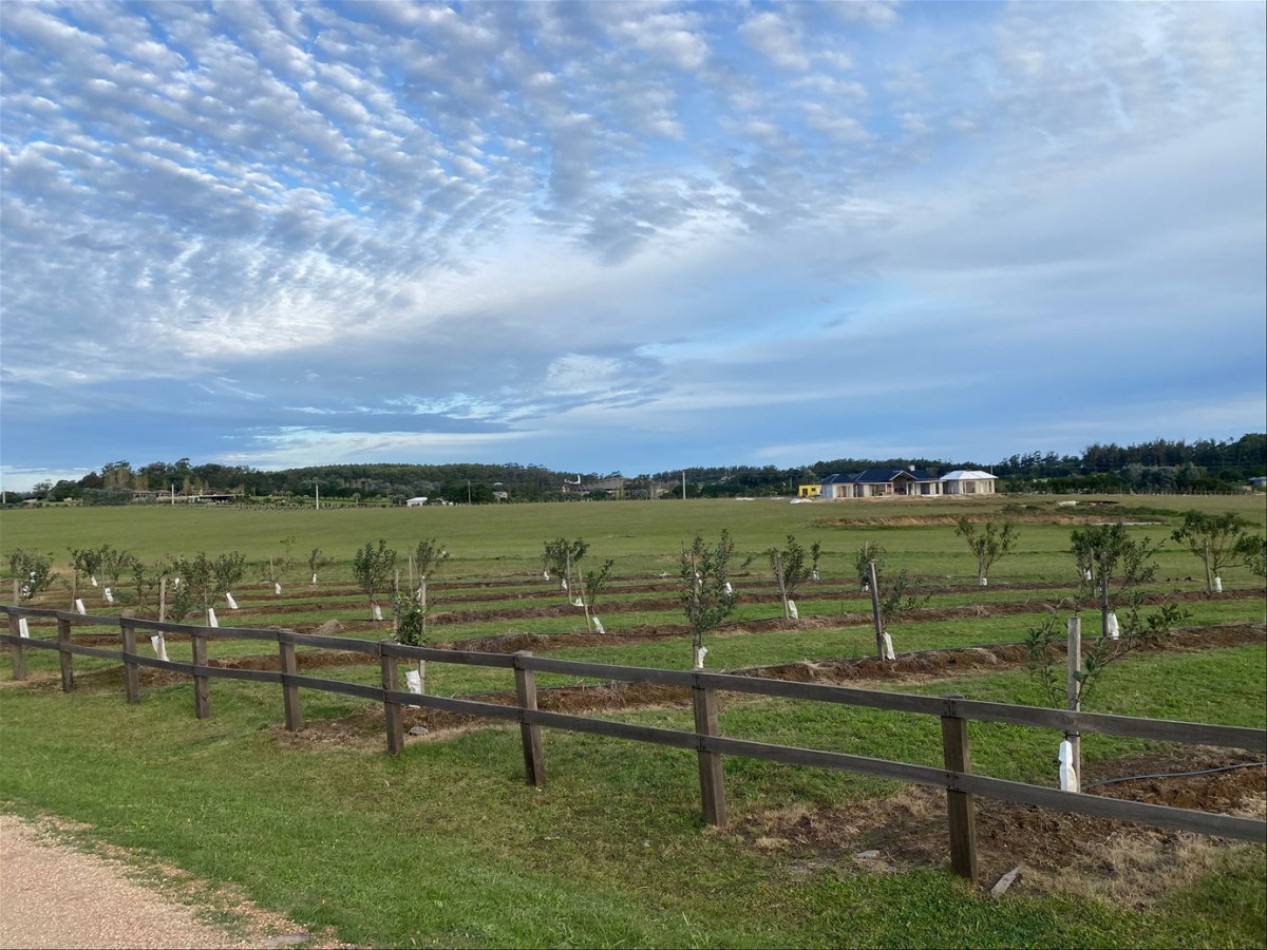 Plantacion Narbona. Ferme de 1 hectare a Manantiales
