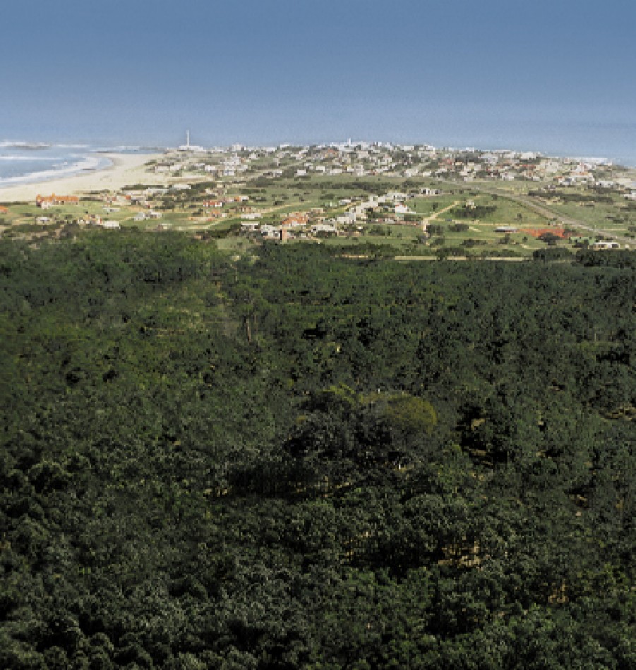 Terrain dans le quartier prive Dunas Jose Ignacio