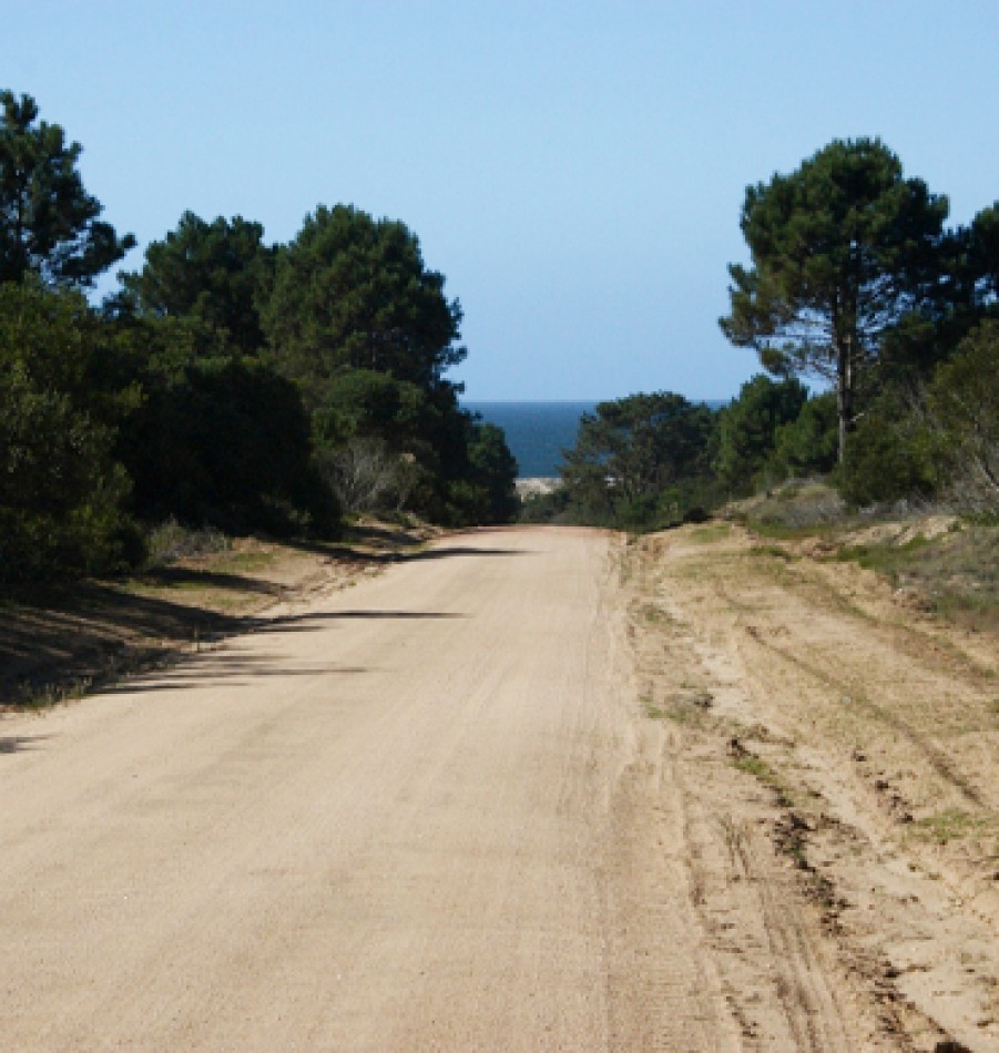 Terrain dans le quartier prive Dunas Jose Ignacio