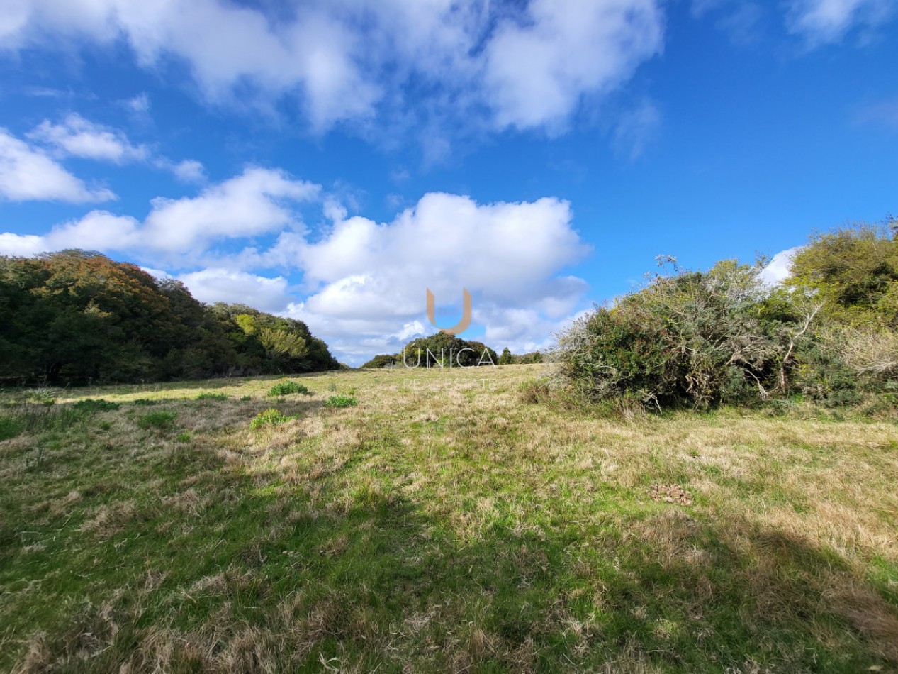 Spectaculaire ferme de 7,7 hectares situee en bordure de la Laguna Anastasio