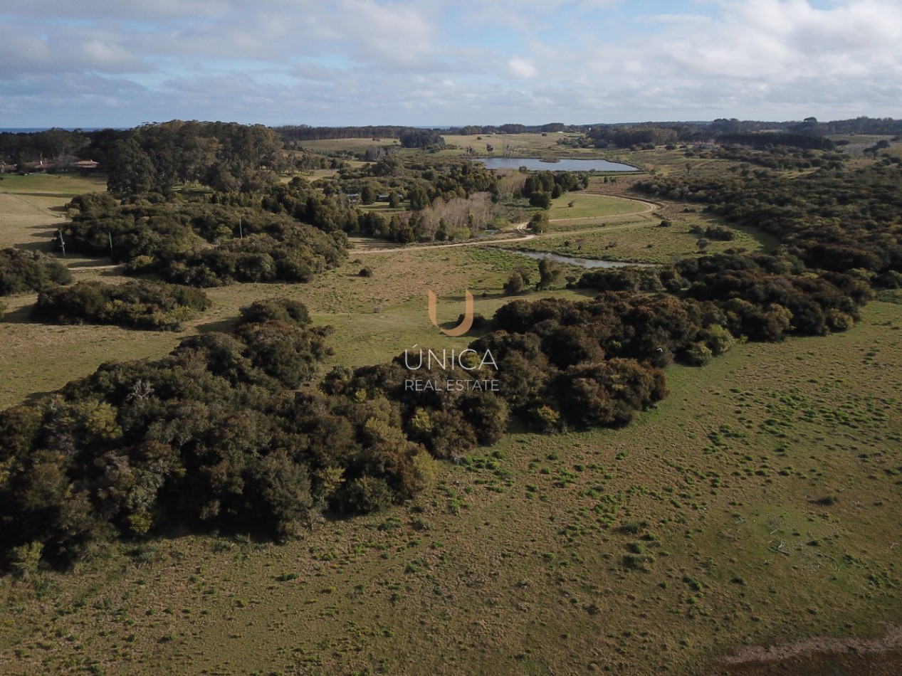 Spectaculaire ferme de 7,7 hectares situee en bordure de la Laguna Anastasio