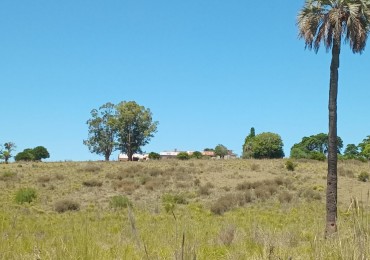 Propriete rurale 740 hectares Sierra de Carape