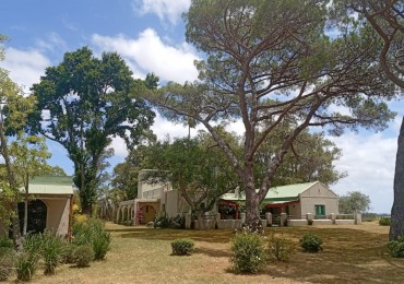 Propriete exclusive de 74 hectares avec 6 chambres dans la zone la plus recherche de Jose Ignacio