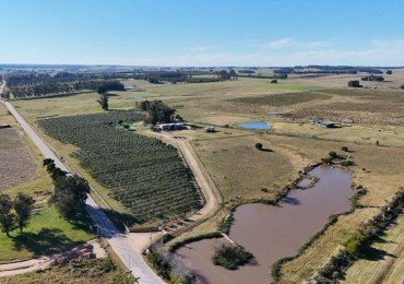 Corps de ferme de 6 chambres a deux minutes du nouveau parcours de golf Jose Ignacio