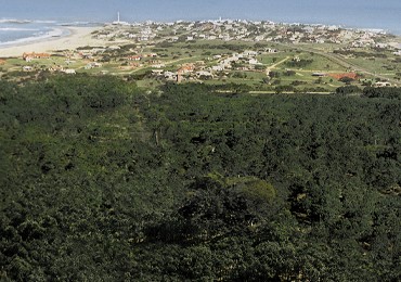 Terrain dans le quartier prive Dunas Jose Ignacio